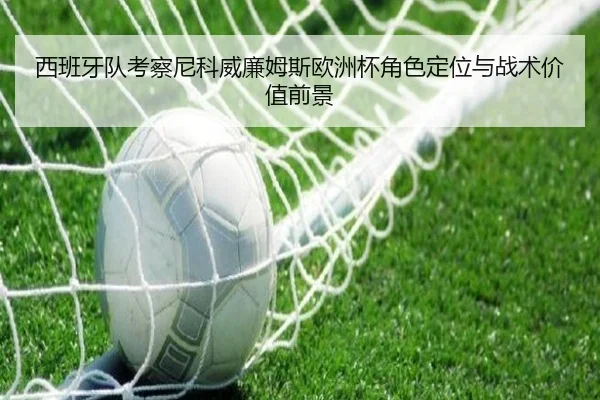 西班牙队考察尼科威廉姆斯欧洲杯角色定位与战术价值前景