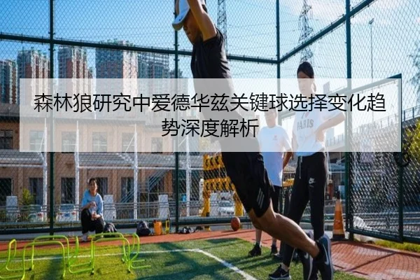 森林狼研究中爱德华兹关键球选择变化趋势深度解析
